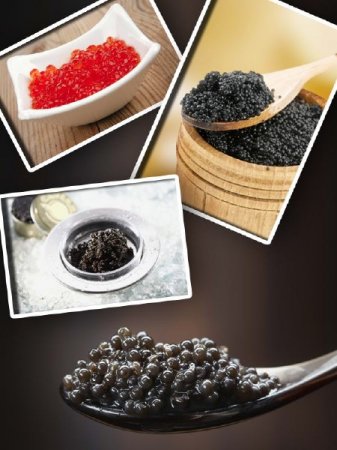 ��������: ���� (������ � �������)