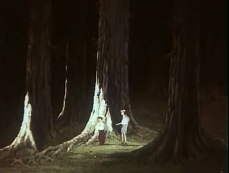 ������ ������� � ������ (1954/DVDRip)