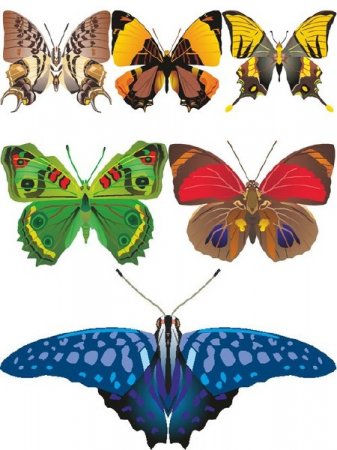 �������� ������� (��������� ����)