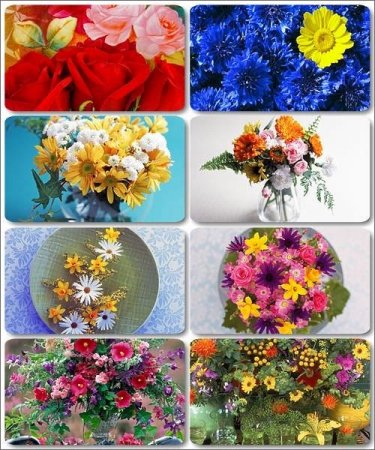 ��������� ���� - ������� ���� ������ (����� 9)