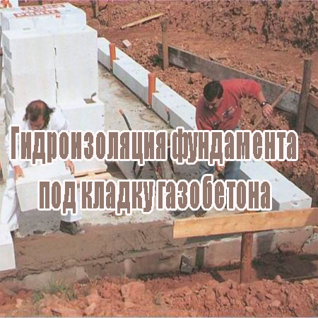 ������������� ���������� ��� ������ ���������� (2013) DVDRip