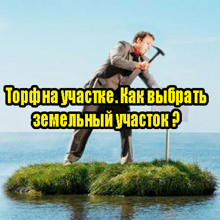 ���� �� �������. ��� ������� ��������� ������� (2013) DVDRip