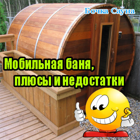 ��������� ����, ����� � ���������� (2013) DVDRip