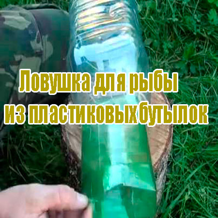 ������� ��� ���� �� ����������� ������� (2013) DVDRip