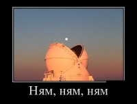 ���������� � �������� ������������ ��� (2013)