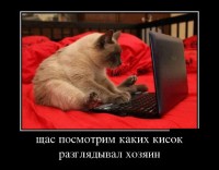 ����� ������������ �� ������� (2013)