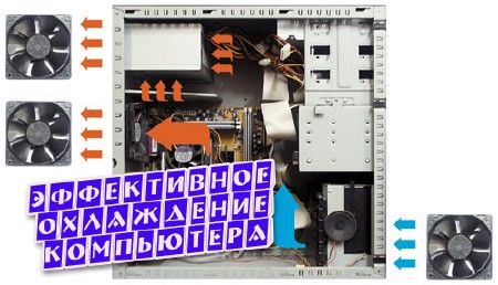 ����������� ���������� ���������� (2013)