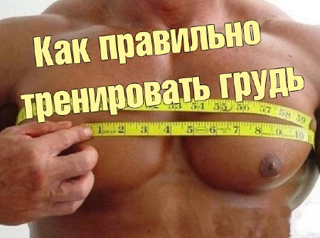 ��� ��������� ����������� ����� (2013) DVDRip