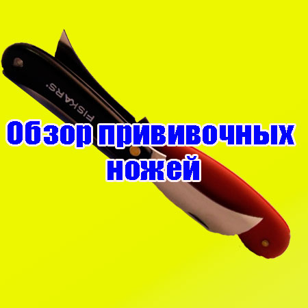 ����� ����������� ����� (2013) DVDRip