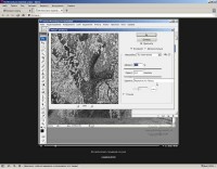 ���������� Adobe Photoshop CS3-CS5 �� ������� ���������� � ������� ������ 2007-2013 SWF (���������� 17.12.2013)