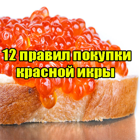 12 ������ ������� ������� ���� (2013) DVDRip