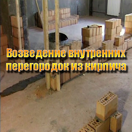 ���������� ���������� ����������� �� ������� (2013) DVDRip