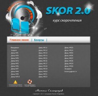 ����������� 2.0. ������ ��������� (2013)