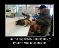 ���������� ������������ ������� (2013)