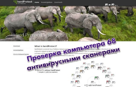 �������� ���������� 68 ������������� ��������� (2013)