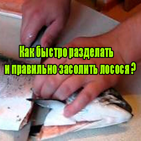 ��� ������ ��������� � ��������� �������� ������ (2013) DVDRip