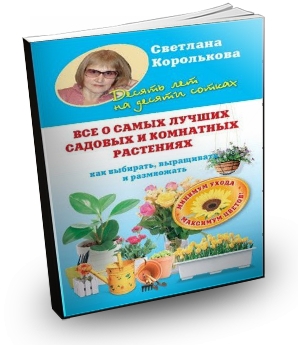 ��� � ����� ������ ������� � ��������� ��������� (2012) RTF