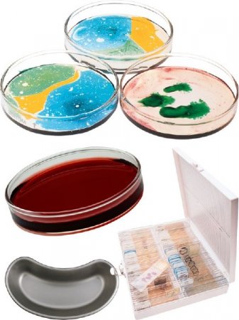 ��������: ����� �����, ������������ ������, ������