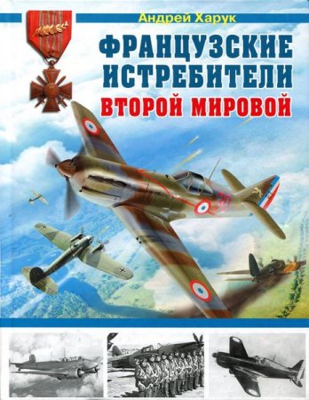 ����������� ����������� ������ ������� (2013/PDF)