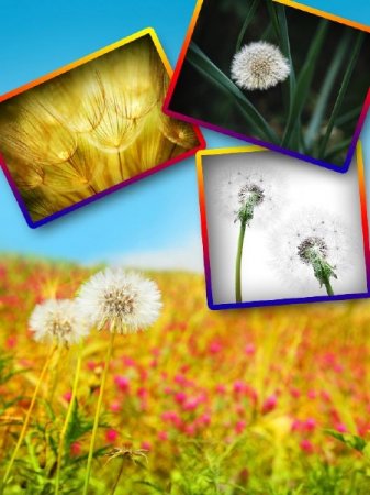 ��������� �������� ������: ����������