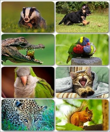 �������� �������� - ��������� ���� ����� (����� 5)