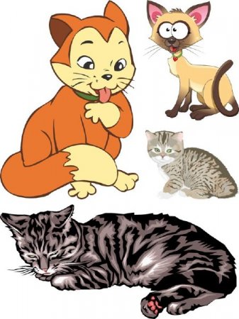 �����, ���� � ������ � �������