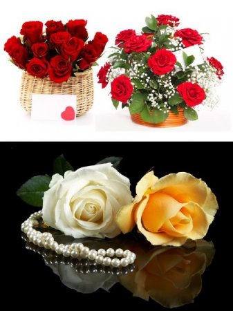 �������� ����������� ���������� ���