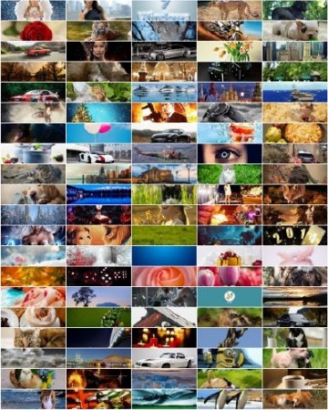 Best HD Wallpapers Pack �1113