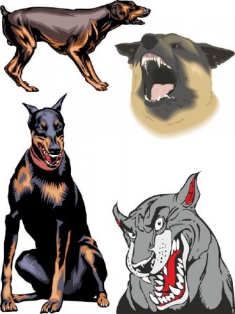 ���� ������ - ��������� ���������