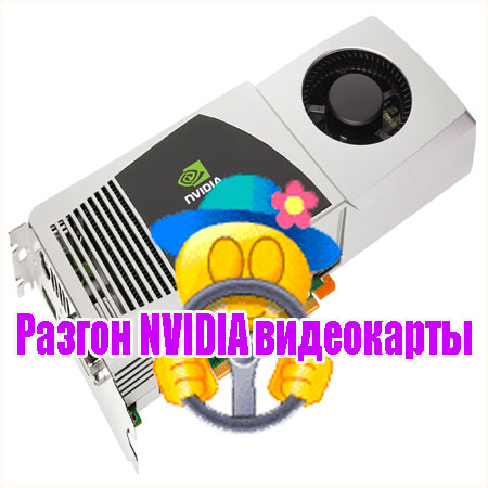 ������ NVIDIA ���������� (2013) DVDRip