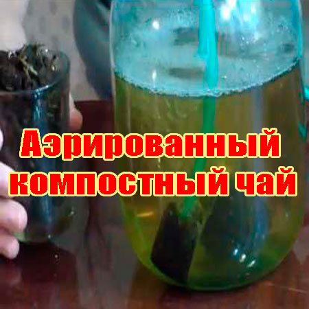 ������������ ���������� ��� (2013) DVDRip