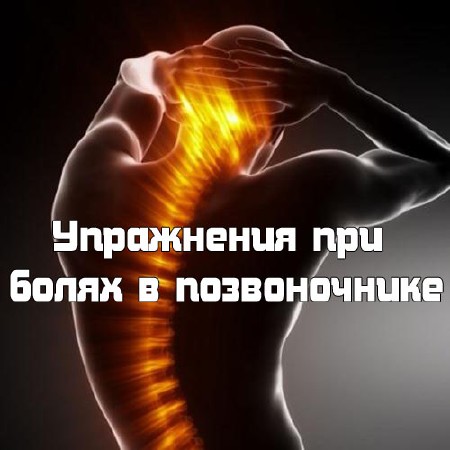 ���������� ��� ����� � ������������ (2013) DVDRip