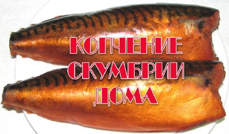 �������� �������� ���� (2013)