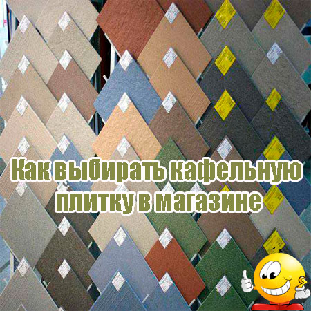 ��� �������� ��������� ������ � �������� (2013) DVDRip