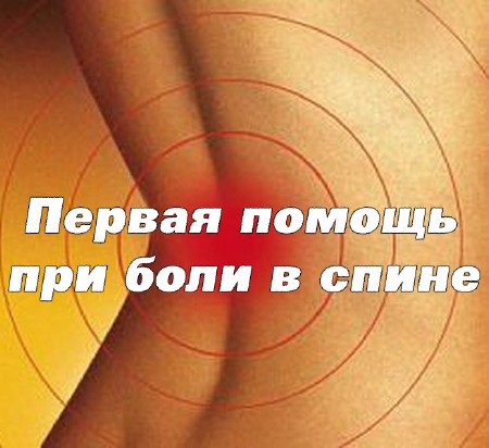 ������ ������ ��� ���� � ����� (2013) DVDRip