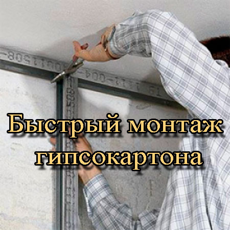 ������� ������ ������������ (2013) DVDRip