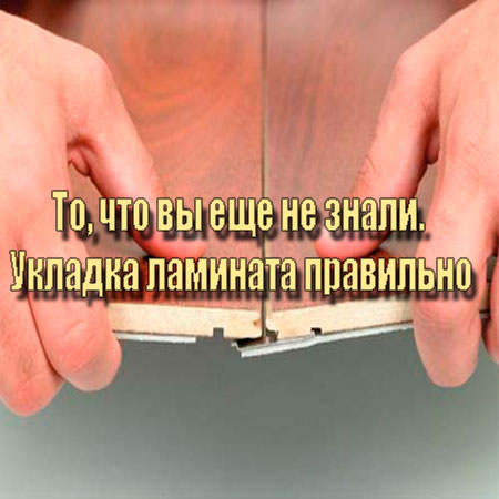 ��, ��� �� ��� �� �����. ������� �������� ��������� (2013) DVDRip