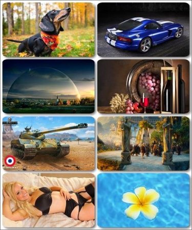 Mix HD ����� - 230 ����� ������ ��������