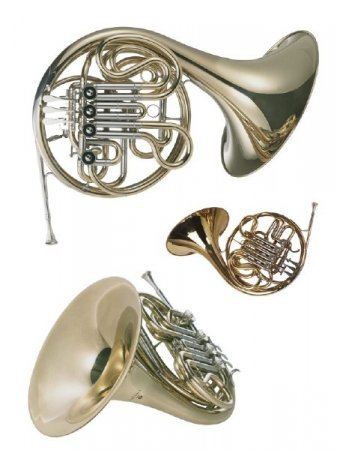 ������� �����������: �������� (�������)