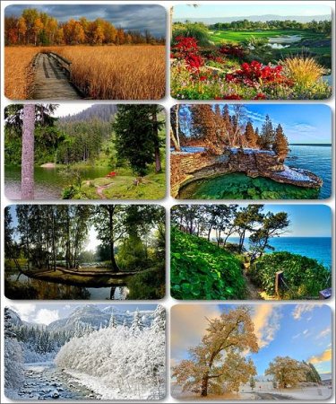 ���� ����������� �������� ������� - ���� ������ 4