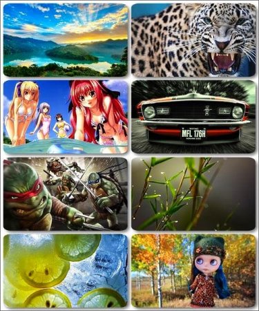 ���� �� ����� ���� - ������� �������� ��������