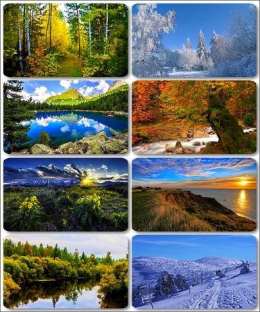 ���� ����������� �������� ������� - ���� ������ 5