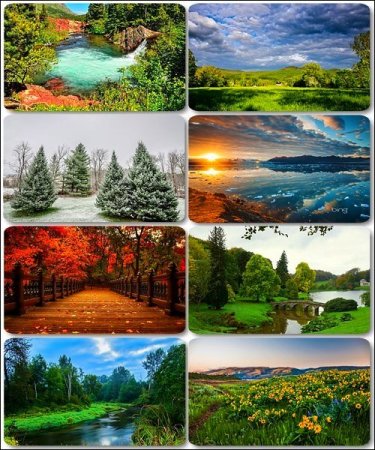 ���� ����������� ������� - ���� ������� (������ 6)