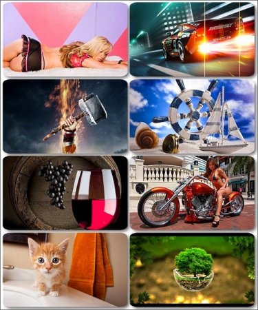 ������� �������� �������� - 220 ����� �� ����� ����