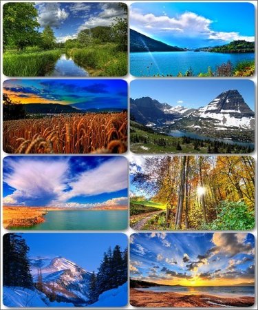 ���������� ������� - ���� � ���� ������� (������ 8)