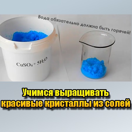 ������ ���������� �������� ��������� �� ����� (2013) WebRip