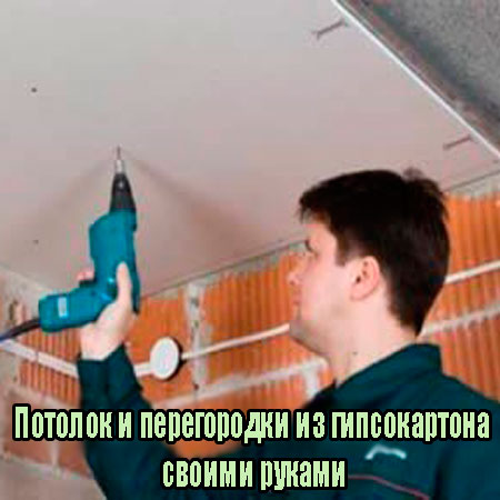 ������� � ����������� �� ������������ ������ ������ (2013) WebRip