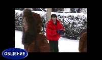 ���� ����� - ��� 13 ����� (DVDRip)