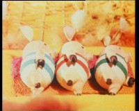 �������� �� ����� - ������� ������������ (1946-1986/DVD5)