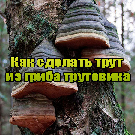 ��� ������� ���� �� ����� ��������� (2013) WebRip